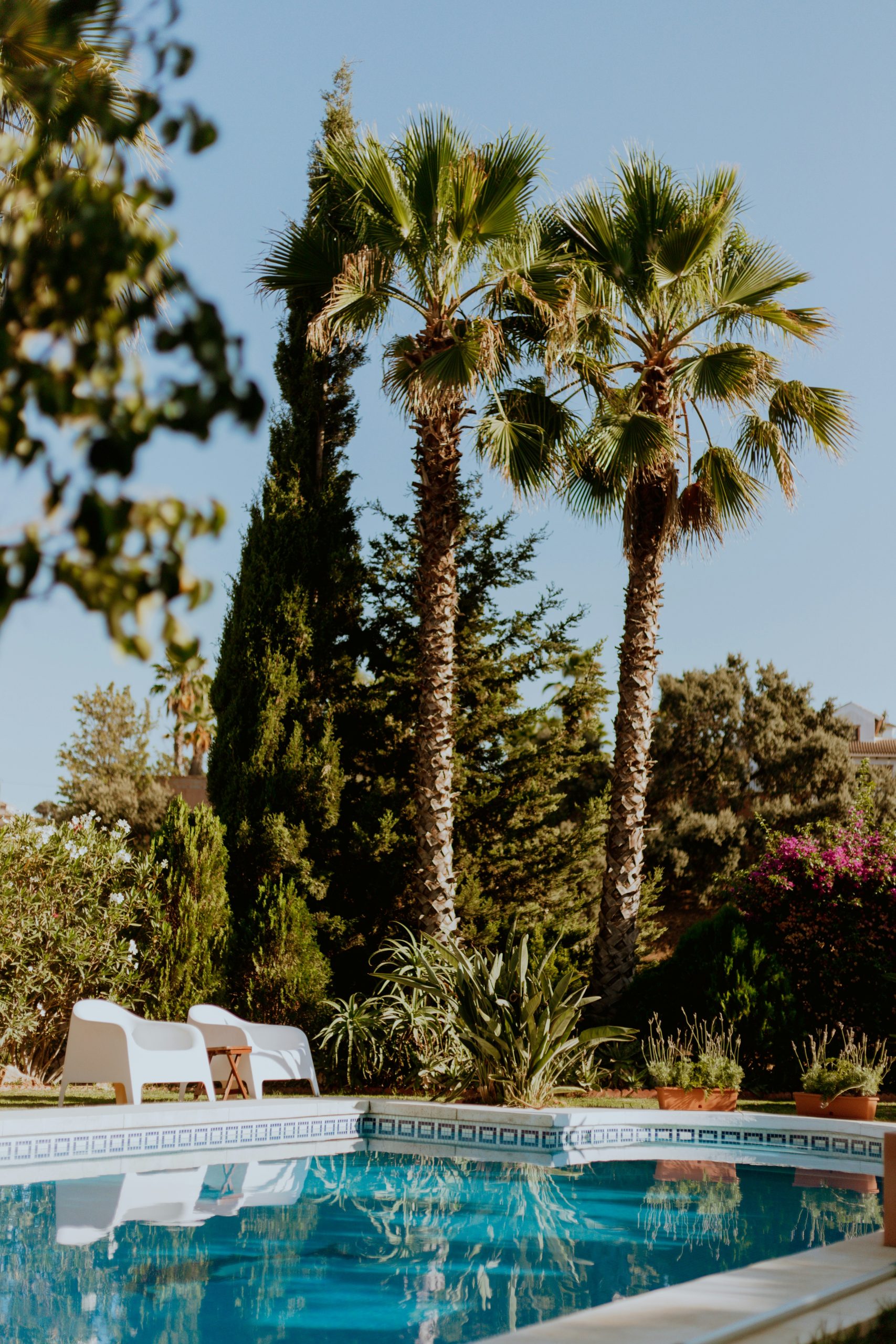 Zwembad met ligbedden en palmbomen bij een resort in Spanje