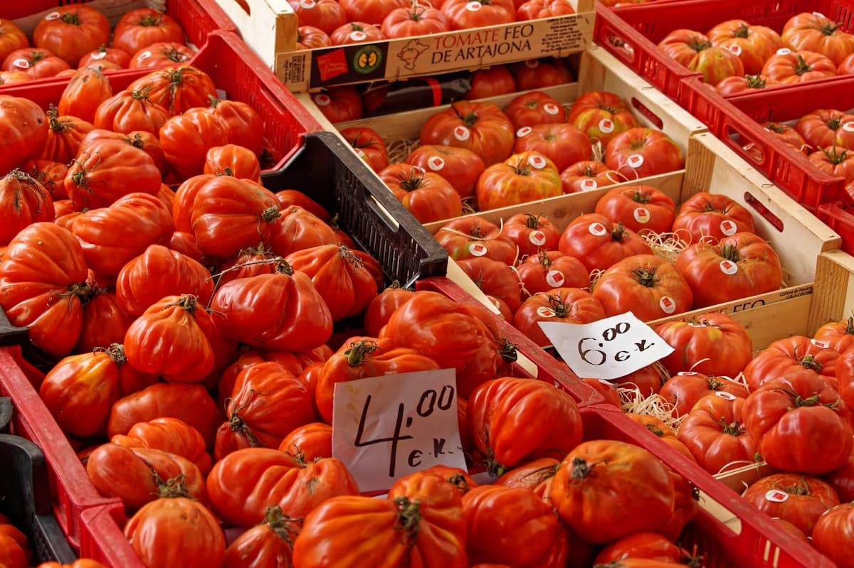 Typisch Spaans dorpje aan de Middellandse Zee waar gazpacho populair is