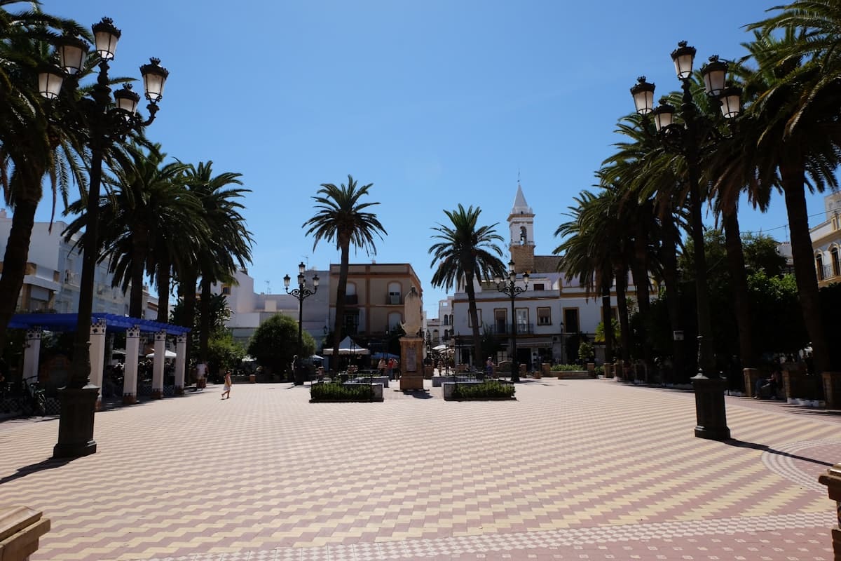 Dorpsplein met palmbomen en kerktoren in Catral, provincie Alicante Spanje