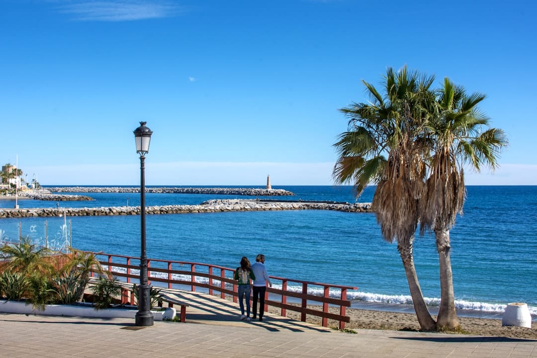 Mediterrane kust met palmen aan de Costa del Sol
