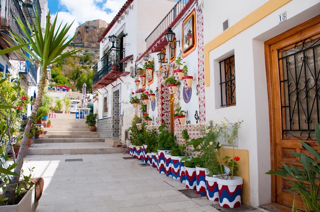Smalle Spaanse straat met palmbomen in een mediterrane stad met een Nederlandse gemeenschap