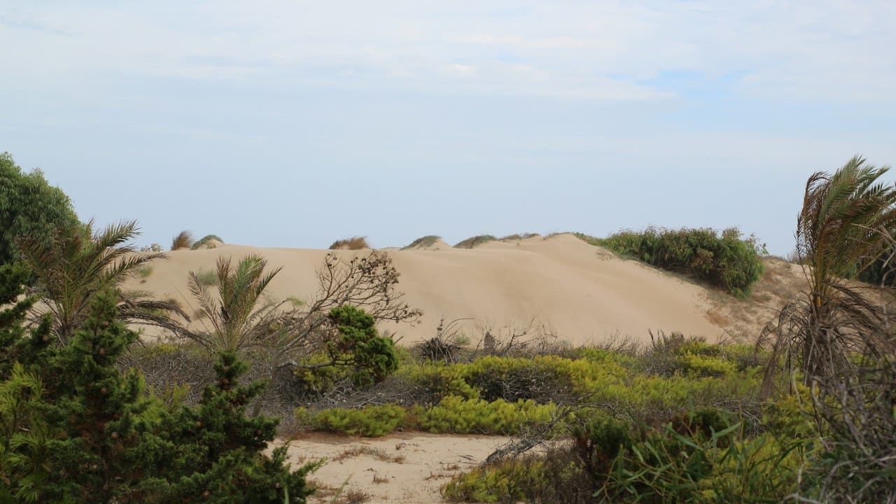 Duinen en groen bij El Raso in Guardamar del Segura aan de Costa Blanca